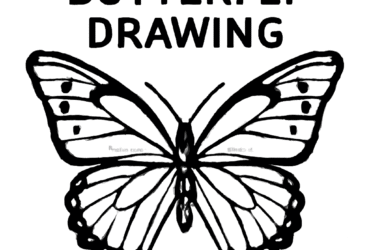 Butterfly Drawing