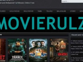 Movierulz 2024: Everything You Should Know About the Piracy Hub