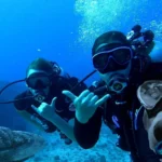 What Is dnoga1b2c3d4? A Deep Dive Into the Mystery